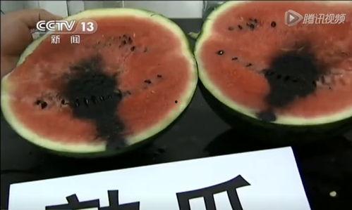 52吃瓜爆料免費吃瓜視頻,免費暢享熱門(mén)吃瓜視頻盛宴